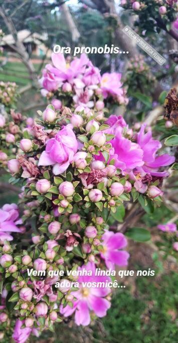 Recanto Dos Beija Flores, Chale Lantana C Monte Alegre do Sul Eksteriør bilde